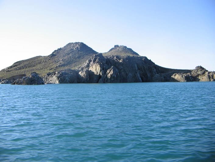 Дикая природа